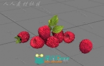 美味新鲜的水果越梅3D模型合辑