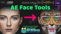500多种AE人脸素材面部工具展示动画AE模板