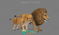 超现实公狮子和母狮子3D模型