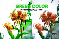 大自然植被明亮绿色色调生活照艺术图像处理特效PS动作
