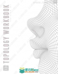 三维拓扑网格技术综合指南书籍+源文件