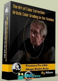 Premiere与MBS艺术色彩校正视频教程 Lynda.com The Art of Color Correction Artis...