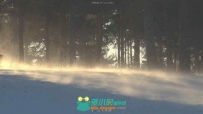 树林中的风雪吹起高清实拍视频素材