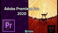 Premiere Pro CC 2020非线剪辑软件V14.2.0.47版