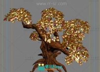 超美的金钱树3D模型