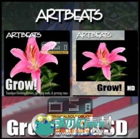 《花朵生长过程高清实拍视频素材合辑》Artbeats Grow 2 HD