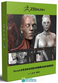 Zbrush女性身体结构肌肉骨骼雕刻剖析视频教程