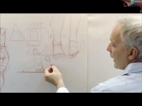人体结构绘画训练大师班视频教程
