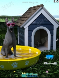夏季环境动物小狗日常道具3D模型合集