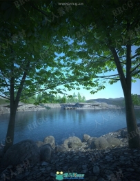 被岩石环绕山顶湖畔自然景观3D模型合集
