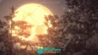 大月亮下鹅毛大雪的圣诞夜节日实拍视频素材