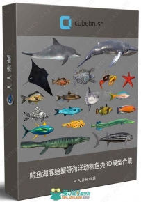 鲸鱼海豚螃蟹等海洋动物鱼类3D模型合集