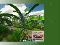 独特的热带植被植物3D模型Unity游戏素材资源