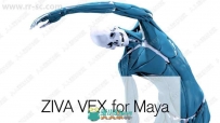 Ziva Dynamics Ziva VFX骨骼肌肉运动模拟Maya插件V1.7版