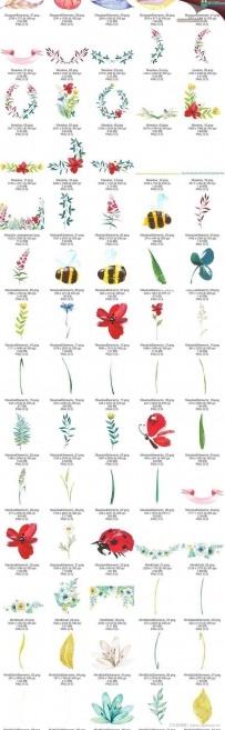 水彩手绘花卉花朵植物图案PNG平面设计素材460款