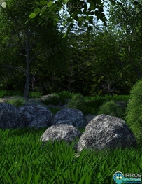 自然野生热带植被森林场景环境3D模型合集