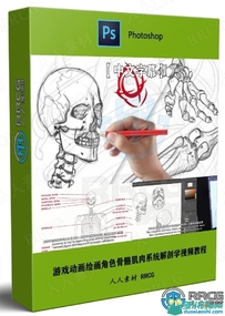 【中文字幕】游戏动画漫画绘画角色骨骼肌肉系统解剖学...