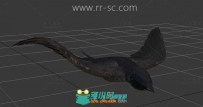 超逼真的燕子3D模型