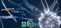 流体动力学模拟软件V2013版 NextLimit RealFlow 2013 Win64