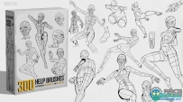 300组人类解剖学数字绘画PS笔刷合集