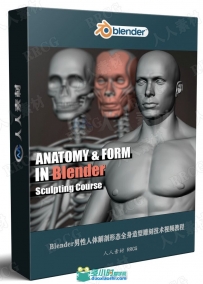 Blender男性人体解剖形态全身造型雕刻技术视频教程