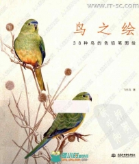 38种鸟彩色铅笔图绘书籍杂志