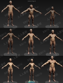 各类人体多边形雕刻高质量建模ZBrush插件V3版