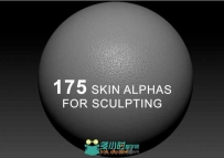 175组皮肤细节雕刻纹理贴图合辑 TEXTURING 175 SKIN ALPHAS