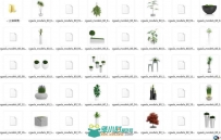 31个高精度室内植物3D模型