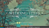 完美优雅浪漫独特的婚礼文字标题动画展示AE模板 Videohive Wedding Titles 19995952