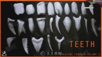 24组Zbrush牙齿雕刻3D模型与笔刷合集