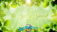 春季绿色心情AE模板 Videohive The Spring Special Promo Pack 4437773 After Effe...