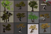 各种胡杨树3D模型合集下载