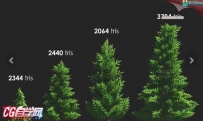 U3D唯美卡通四季3D场景Stylized Forest Environment 2.0
