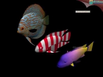 热带鱼3D模型 OBJ,3DS格式