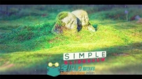 简单美丽优雅的视差幻灯片相册动画AE模板 Videohive Simple Slideshow 19821820