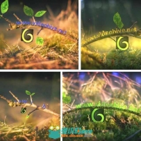 唯美万物复苏Logo演绎动画AE模板 Videohive Spring Leaves Logo 10984145