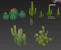 仙人掌、仙人柱、仙人球沙漠3D植物模型