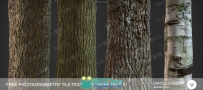36组4K高精度树木树皮PBR纹理贴图合集第一季