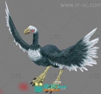 一个大鸟的3D模型