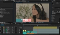 After Effects CC 2015影视特效软件V13.7.1版 Adobe After Effects CC 2015 13.7.1...