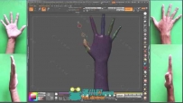 Zbrush手部模型雕刻剖析视频教程第一季 3DMOTIVE SCULPTING HAND ANATOMY IN ZBRUS...