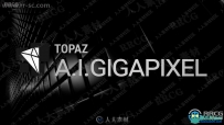 Topaz Gigapixel AI图像智能处理软件V6.2版