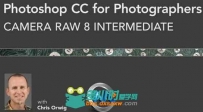 Photoshop CC中Camera Raw 8摄影师应用视频教程 Lynda.com Photoshop CC for Photo...