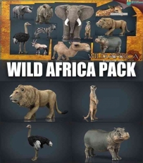 11个非洲野生动物3D模型(MAX FBX MB OBJ格式)