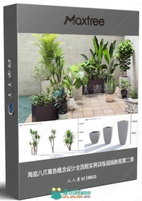 Maxtree出品草木植物3D模型Vol.19合集