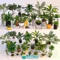 20棵装饰植物3D模型合集，棕榈、花、芦荟，花盆，吊兰等