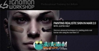 《Mari真实皮肤绘制视频教程》The Gnomon Workshop Painting Realistic Skin in Ma...