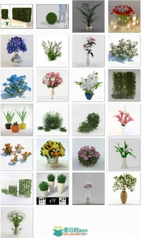 25个超精细写实植物3D模型