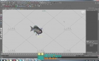 Maya创建一群游动的鱼视频教程